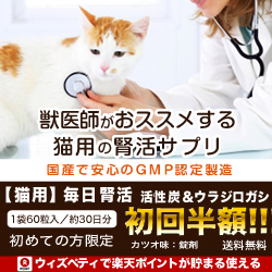 猫用サプリ「毎日腎活 活性炭＆ウラジロガシ」